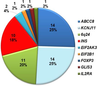 Genetic Etiology of Neonatal Diabetes Mellitus in Vietnamese Infants and Characteristics of Those With INS Gene Mutations